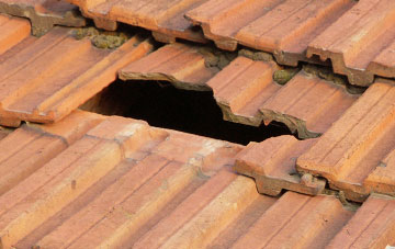 roof repair Garreg